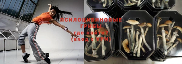стаф Абинск