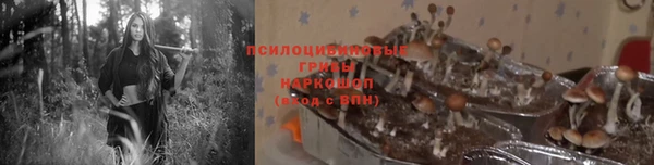 стаф Абинск