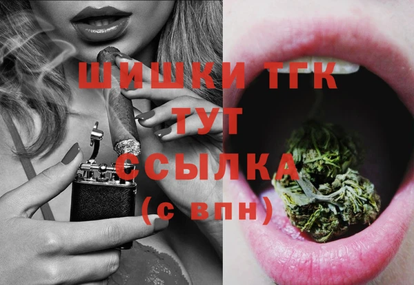 винт Абаза
