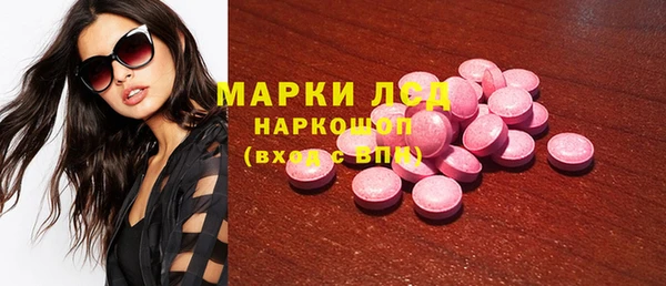 стаф Абинск