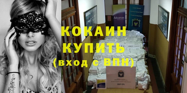 винт Абаза