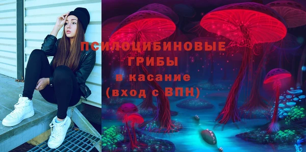 стаф Абинск