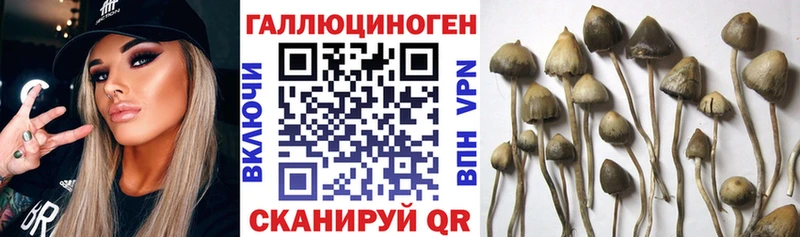 как найти   Ханты-Мансийск  Псилоцибиновые грибы прущие грибы 